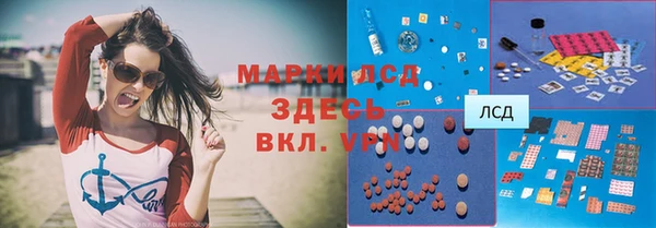 молекула духа Ельня