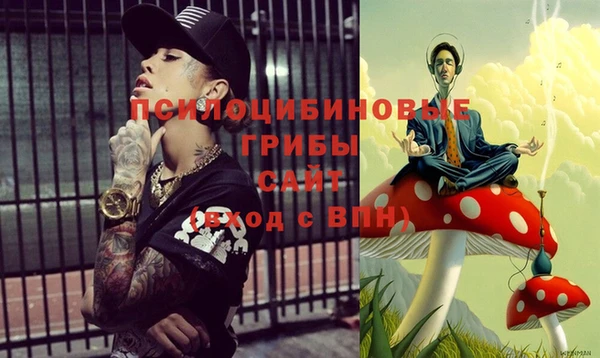 гидра Дмитриев
