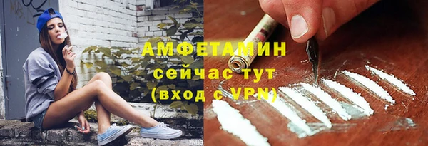 молекула духа Ельня