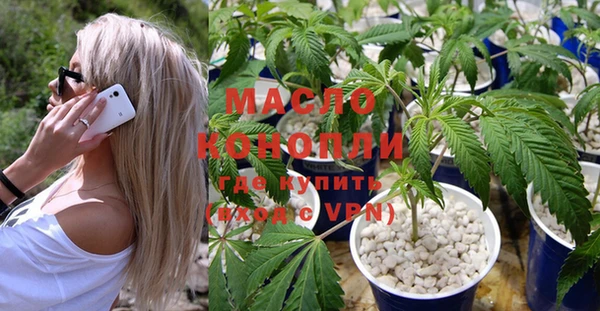 эйфоретик Дмитров