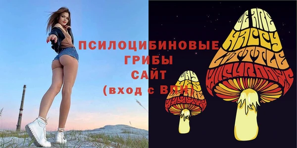 молекула духа Ельня
