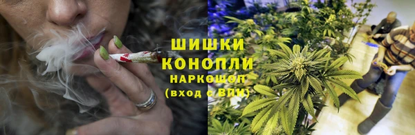 эйфоретик Дмитров